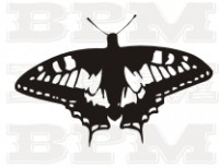 /album/hmyz/hmyz-17-jpg/